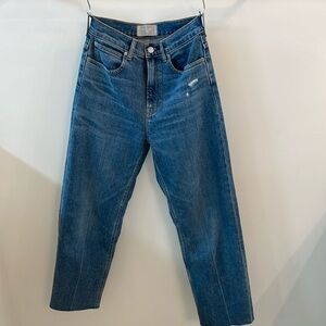 Everlane The Way High Jean 25R